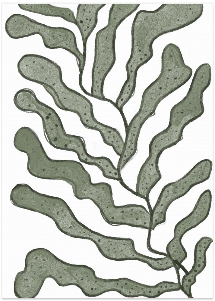 Sea plants
