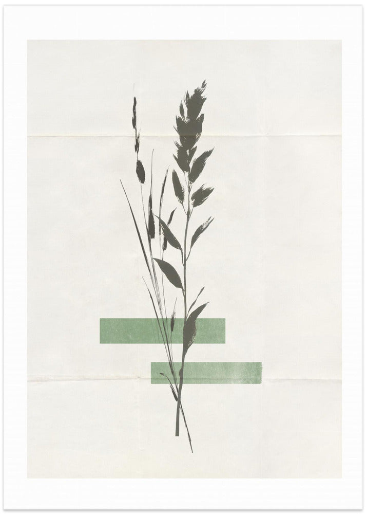 Modern Plants No.3