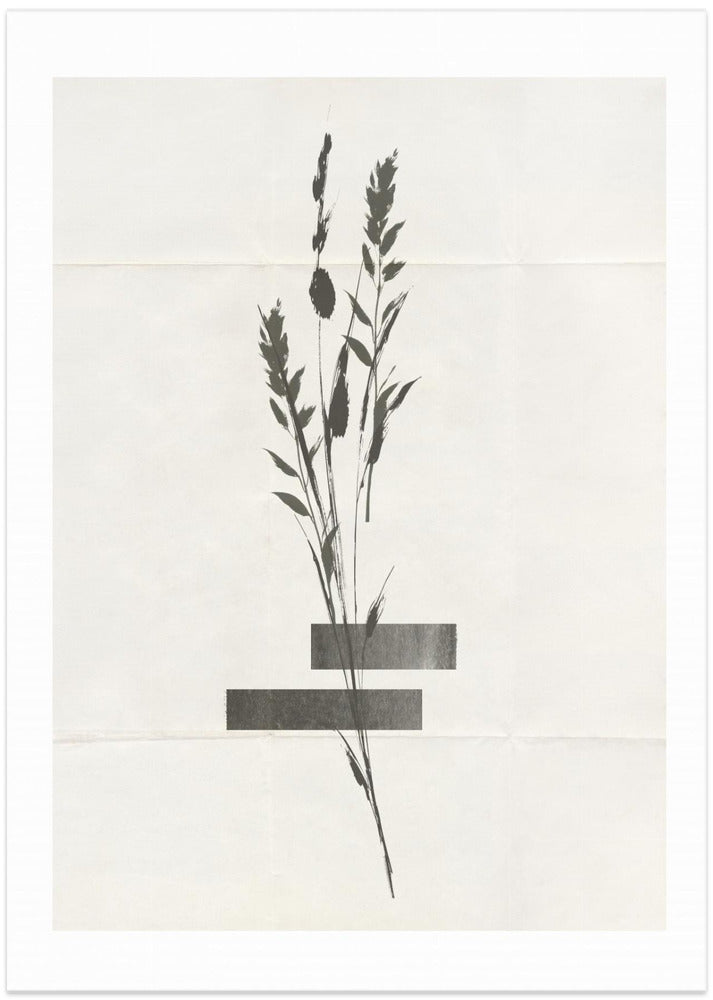 Modern Plants No.4
