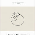 Abstractbotanicsno13
