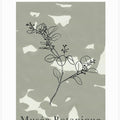 Abstractbotanicsno16