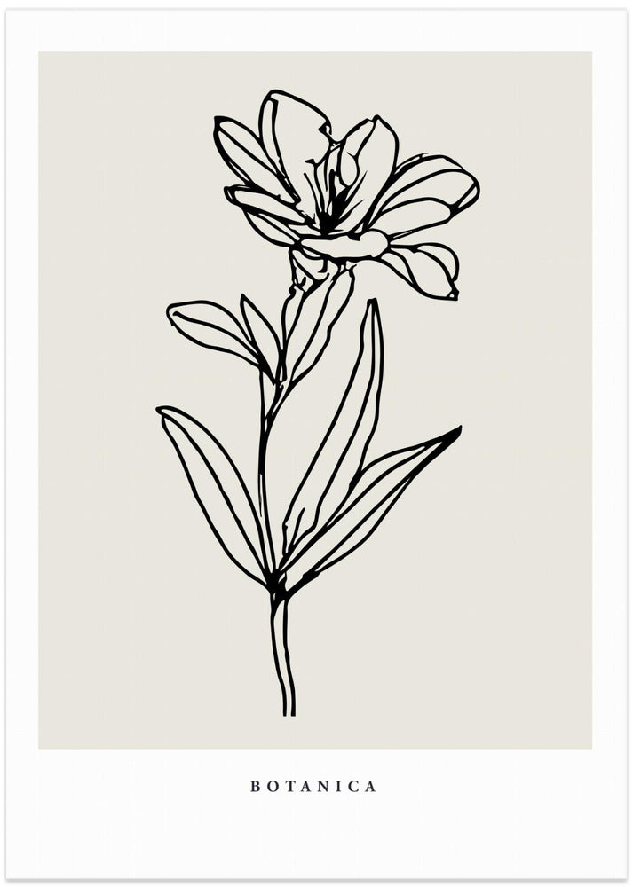 Botanicalineno06
