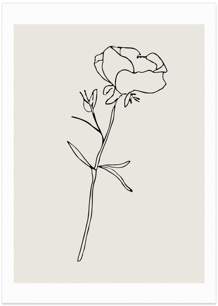 Botanicalineno10