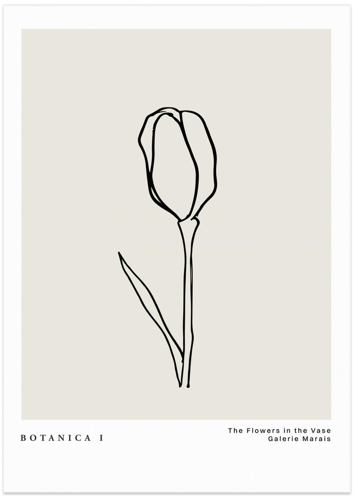 Botanicalineno13
