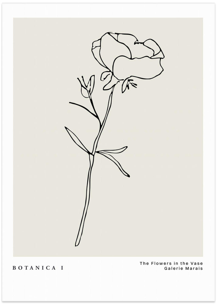 Botanicalineno14