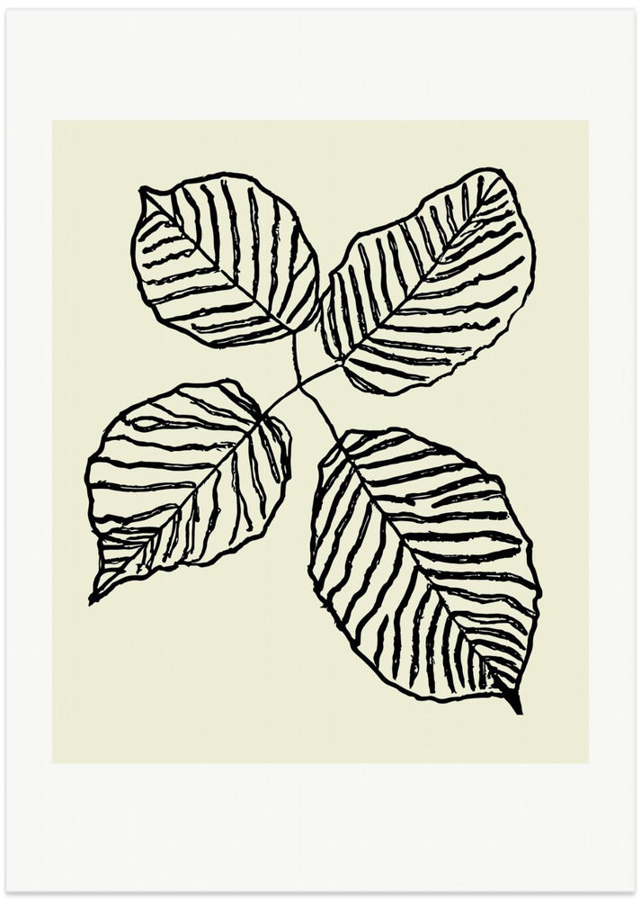 Botanicalineno21