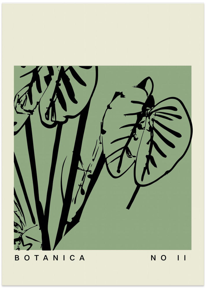 Botanicalineno47
