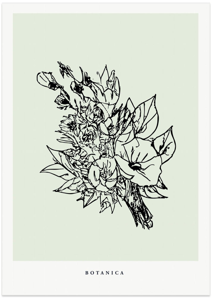 Botanicalineno62