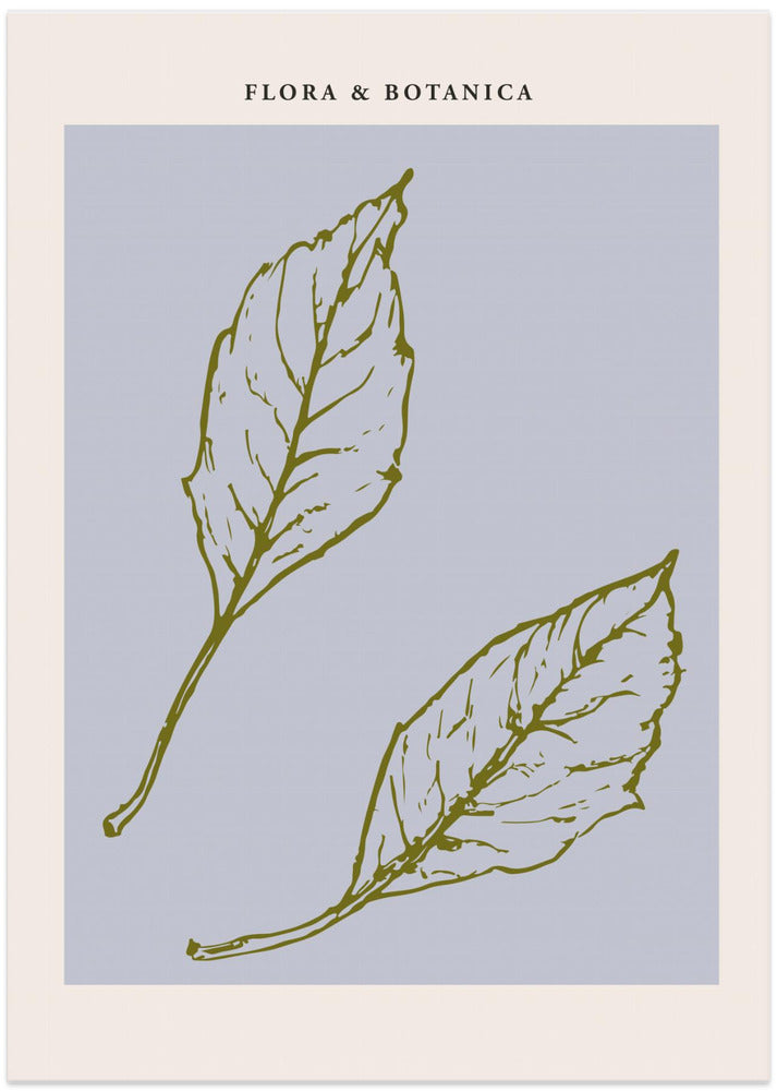 Florabotanicalineno05