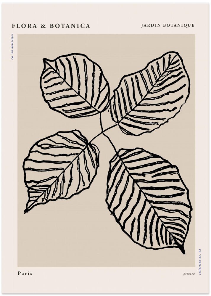 Florabotanicalineno07