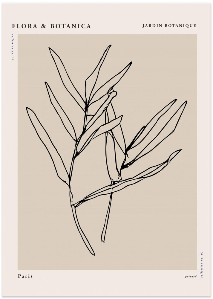 Florabotanicalineno08