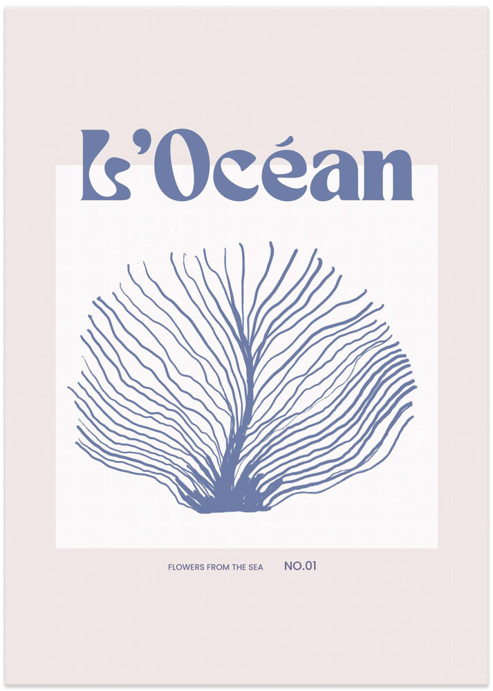 Maritimcalmeno03