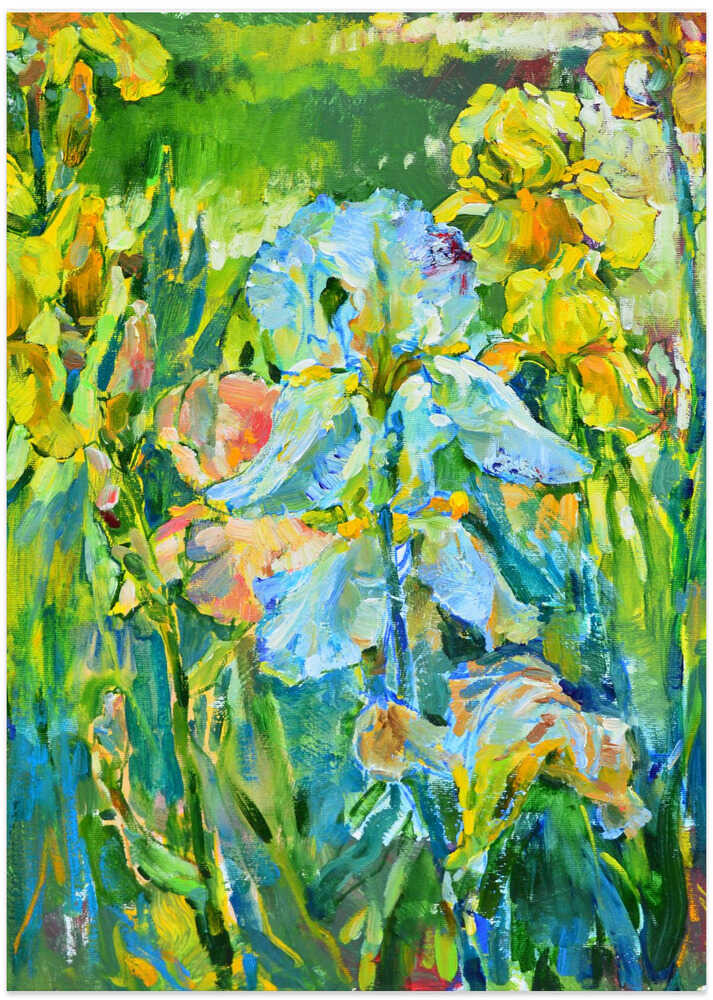 White irises
