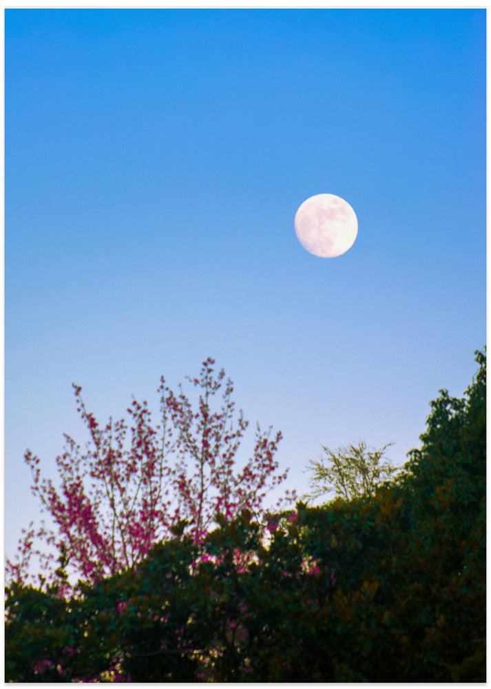 blue hour