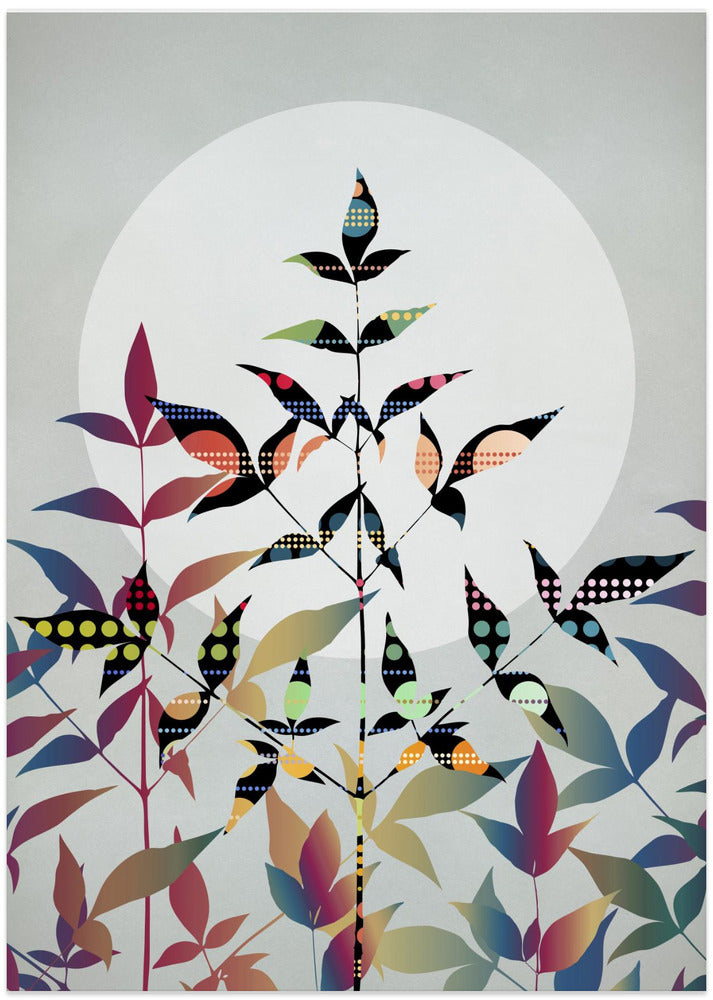 Flutter