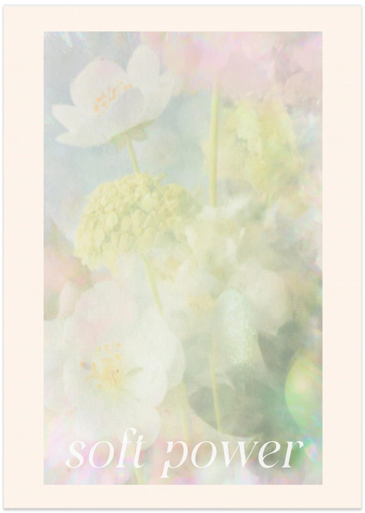 Softspokenno08