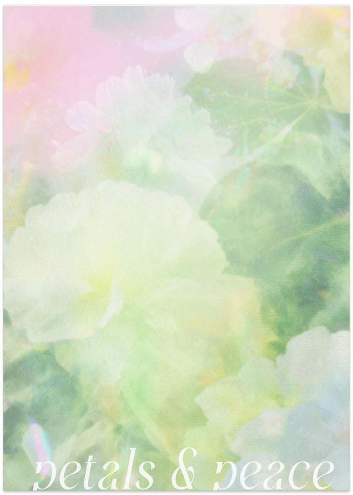 Softspokenno09