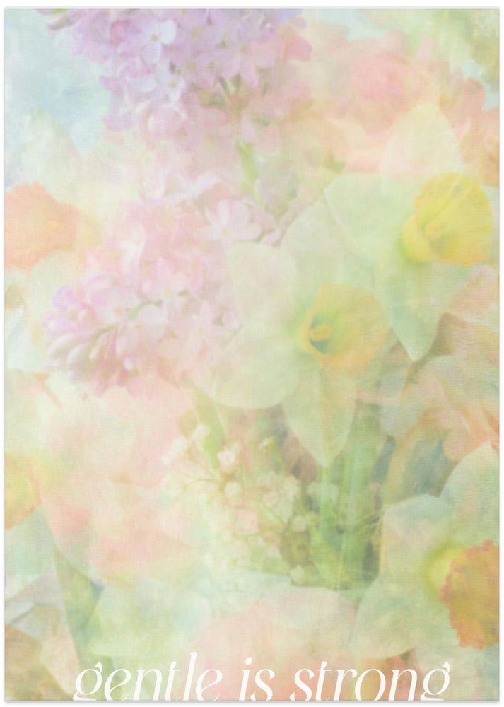 Softspokenno14