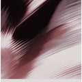 Silkenshiftno02