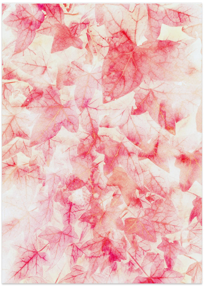Red Ivy