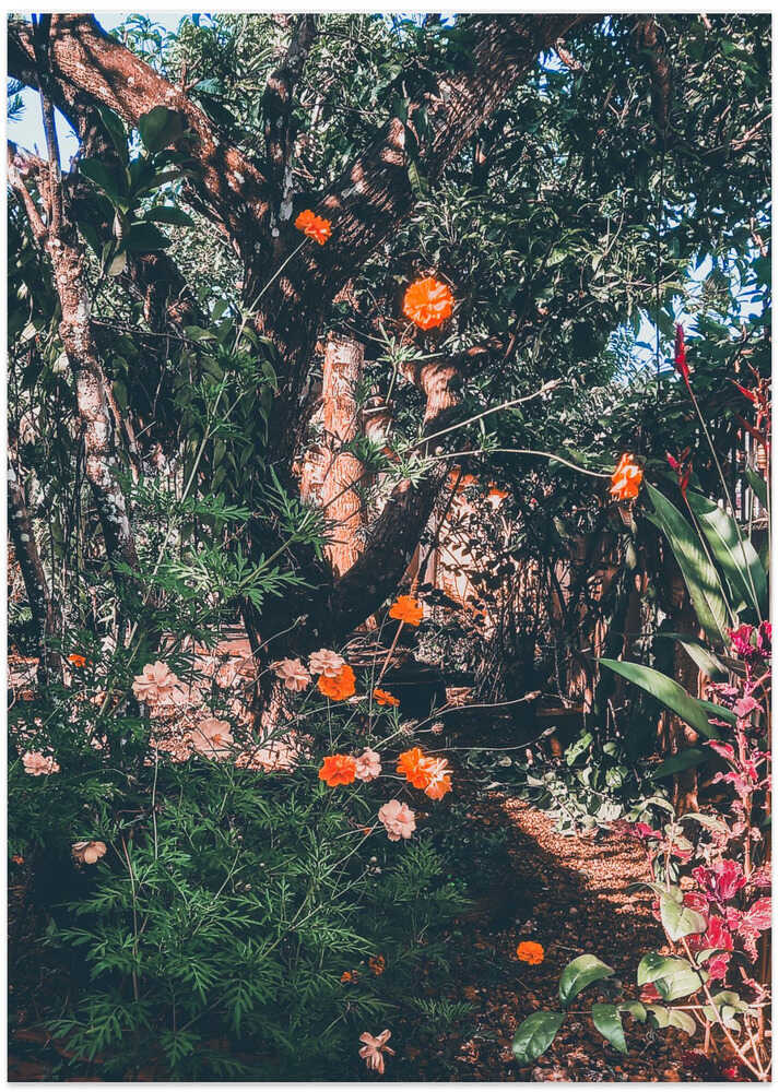Garden Archives