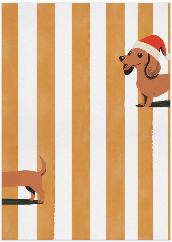 Dachshund