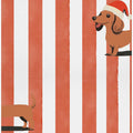 Dachshund