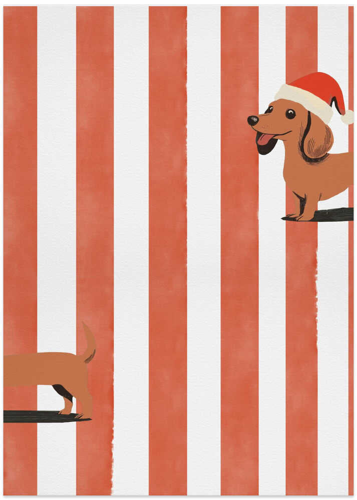 Dachshund