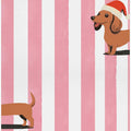 Dachshund