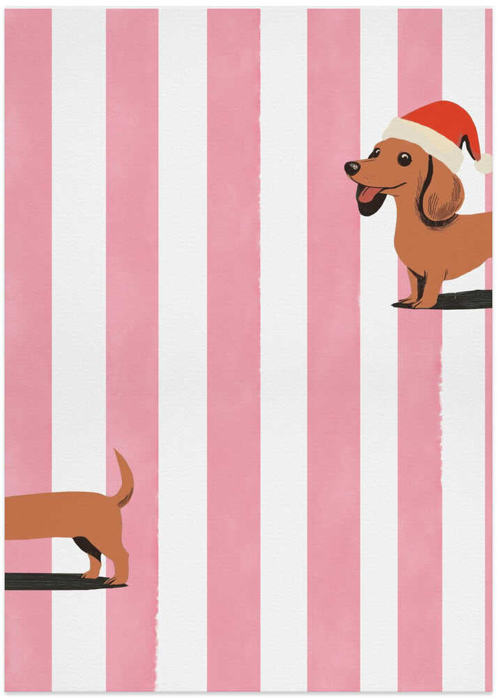 Dachshund