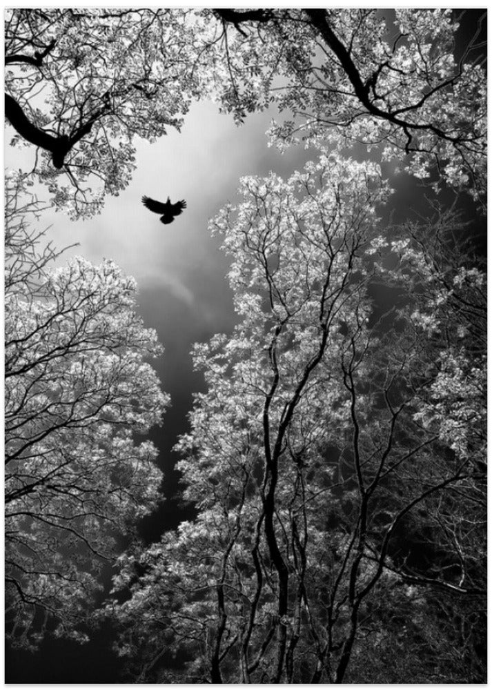 Flight