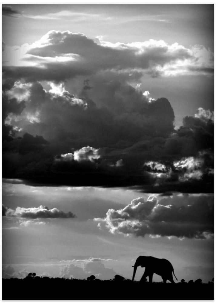 He walks under an African Sky