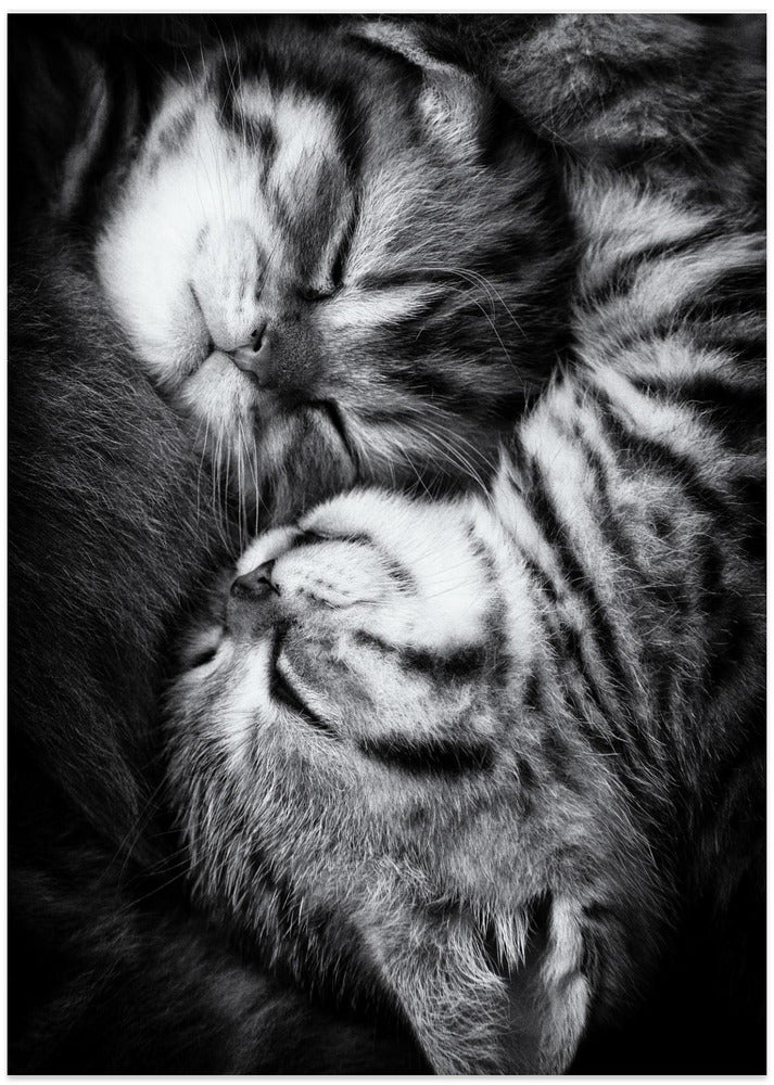 Yin and Yang