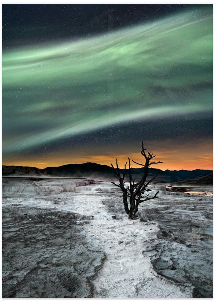 Magic Aurora