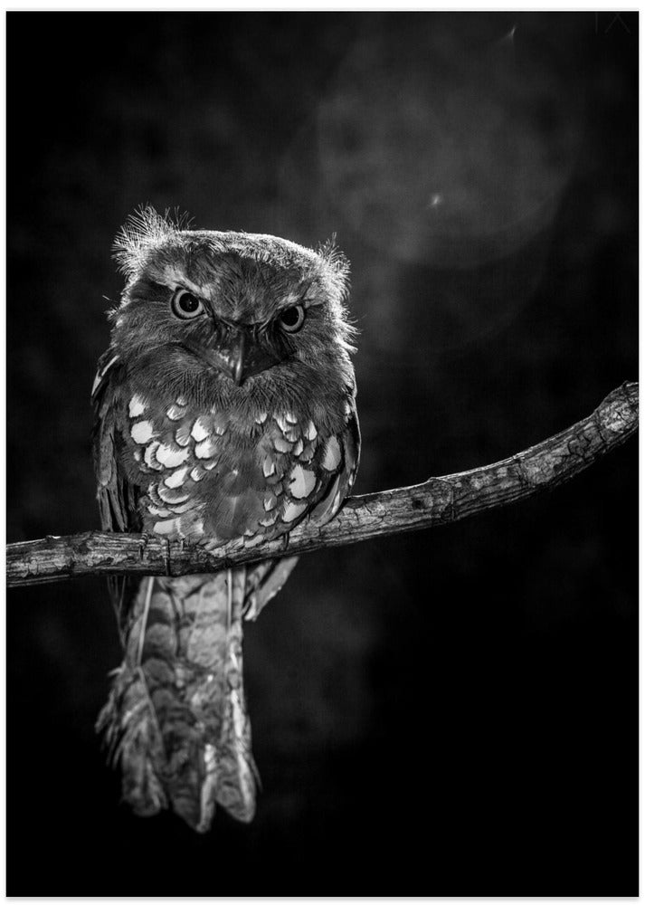 Alone in the night