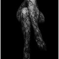 Stockings