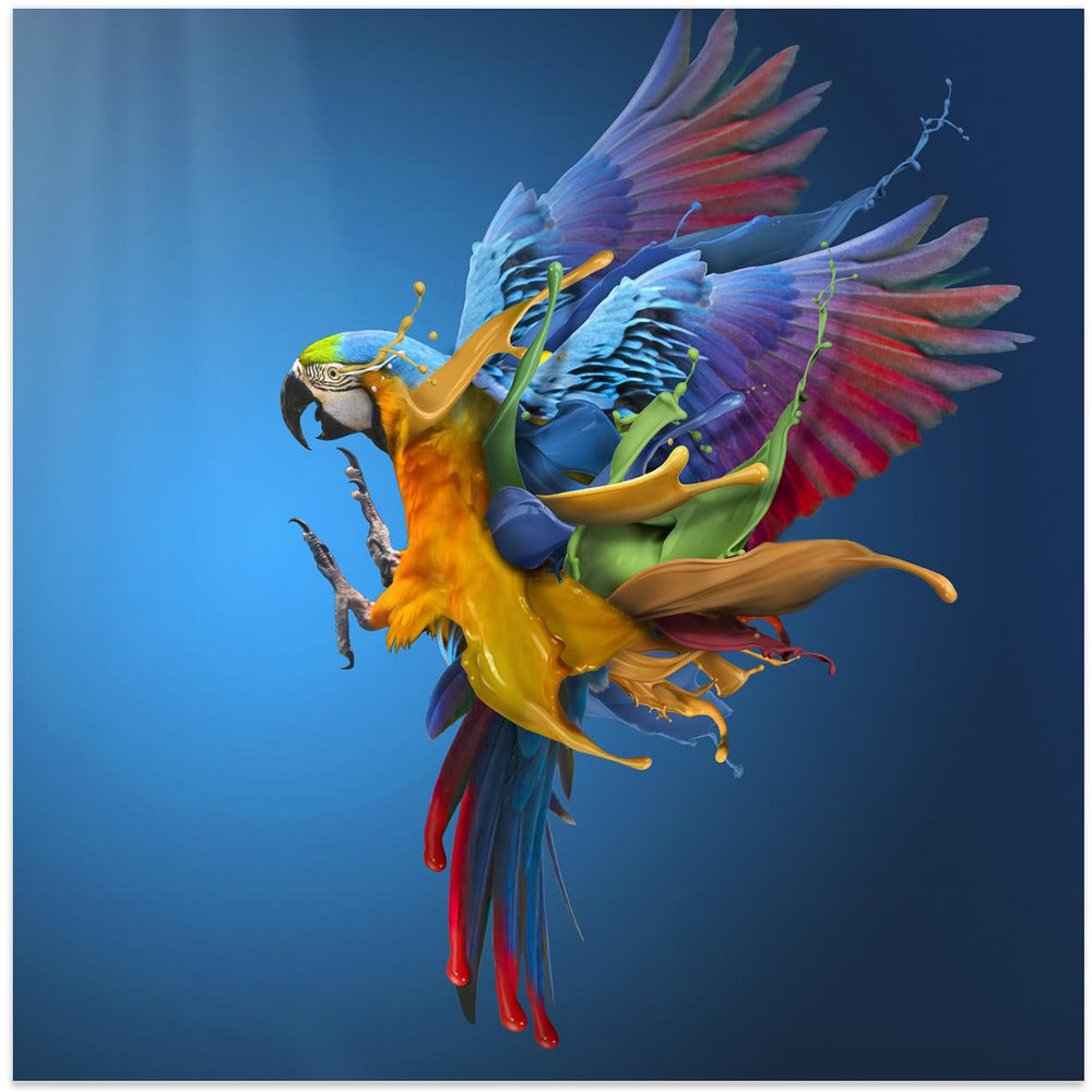 Flying Colours