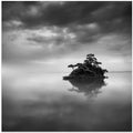 The Island