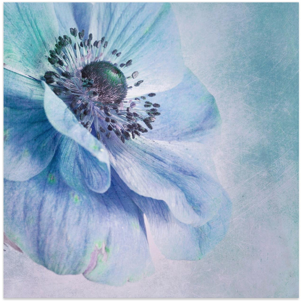Shades of Blue
