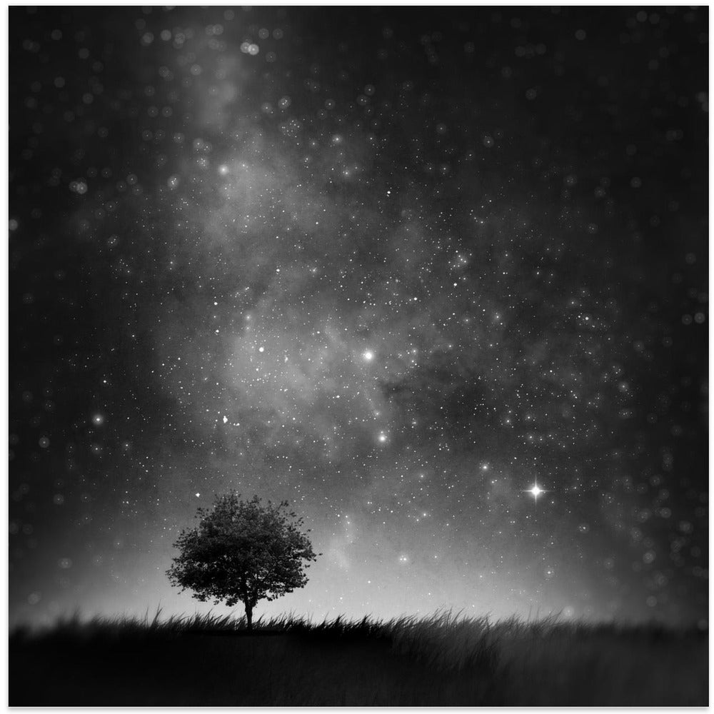 Not so Alone