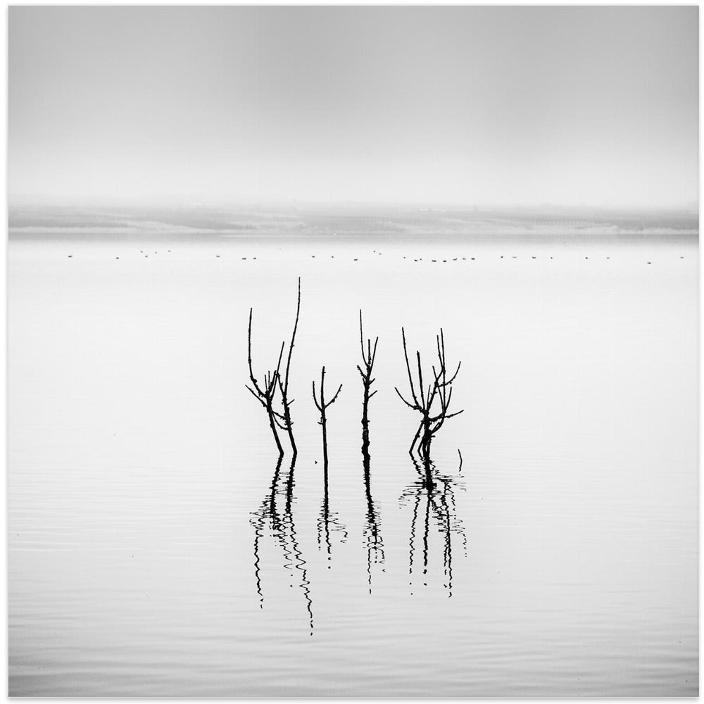 Vegoritida Lake 005