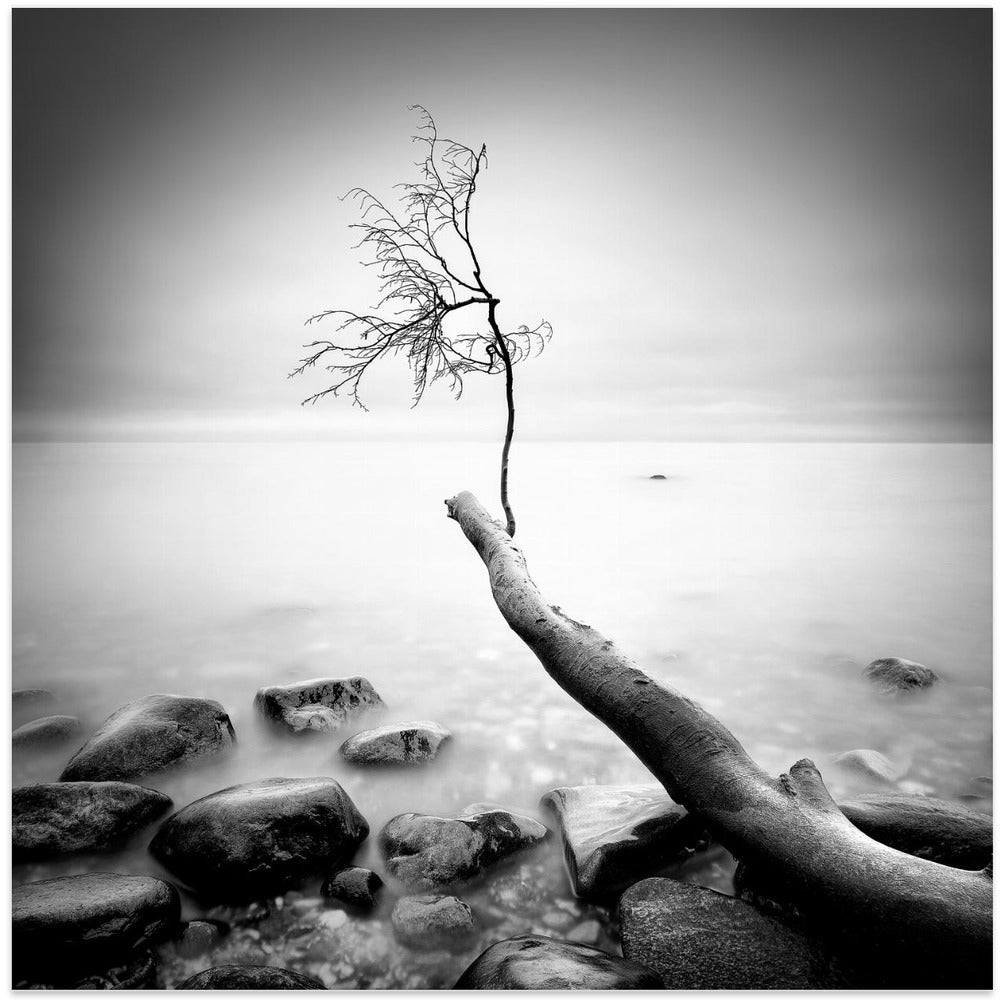 Lost