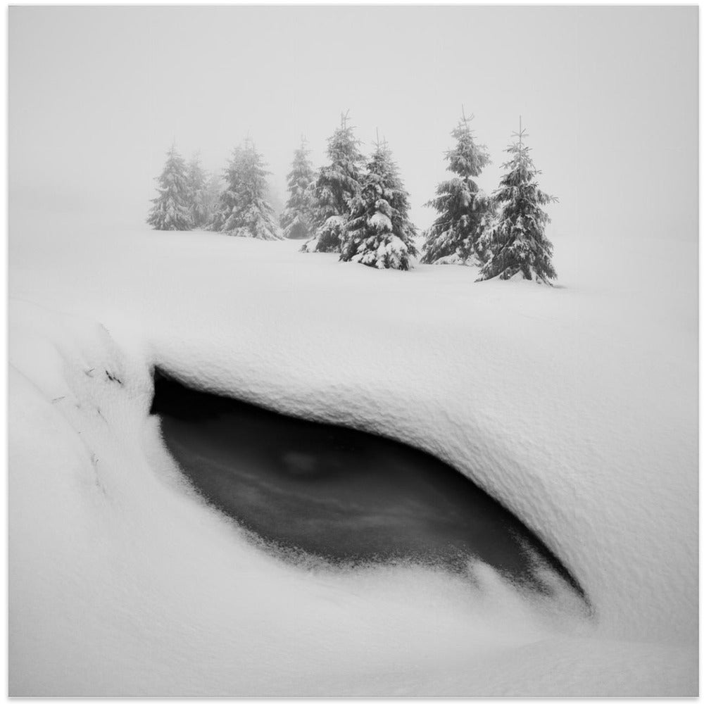 Dragon eye
