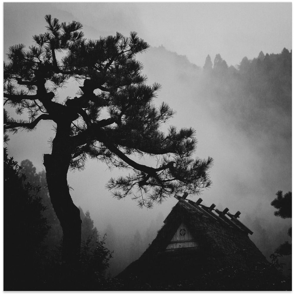 Pine