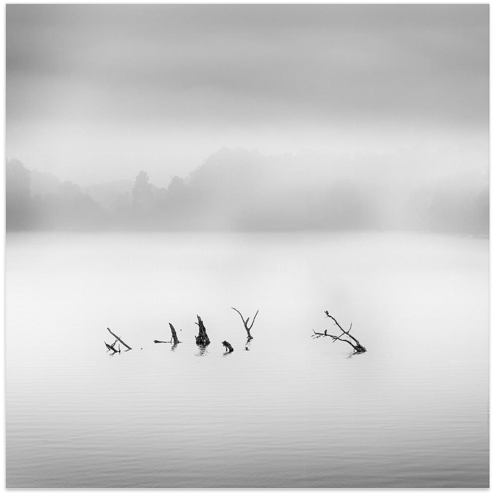 Waterland