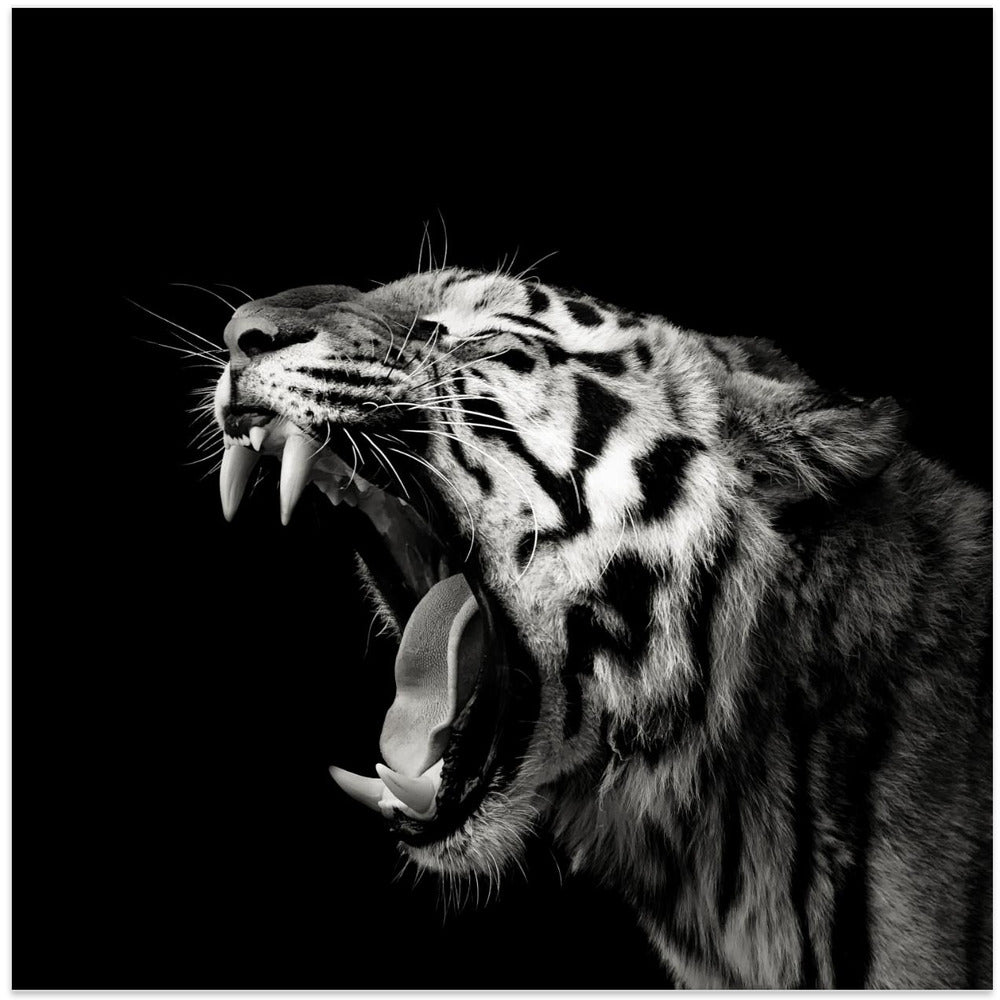 Primal Yawn #4