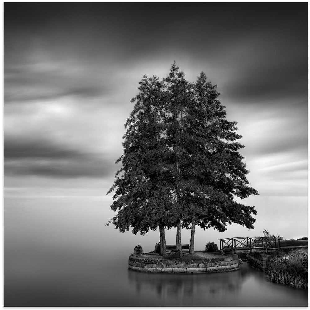 Sweden landscape