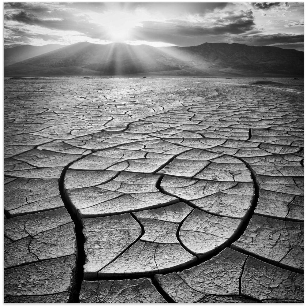 Arid