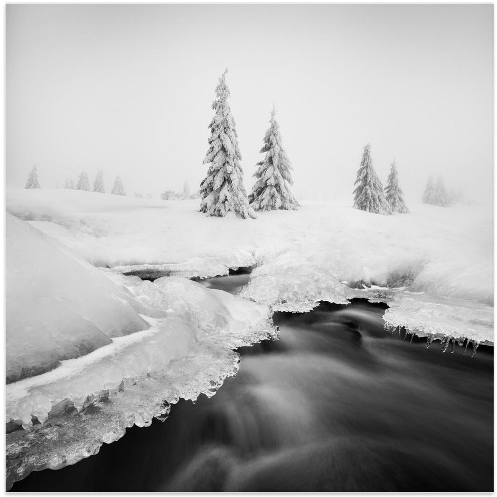 Ice creek...