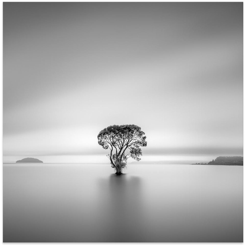 Calm